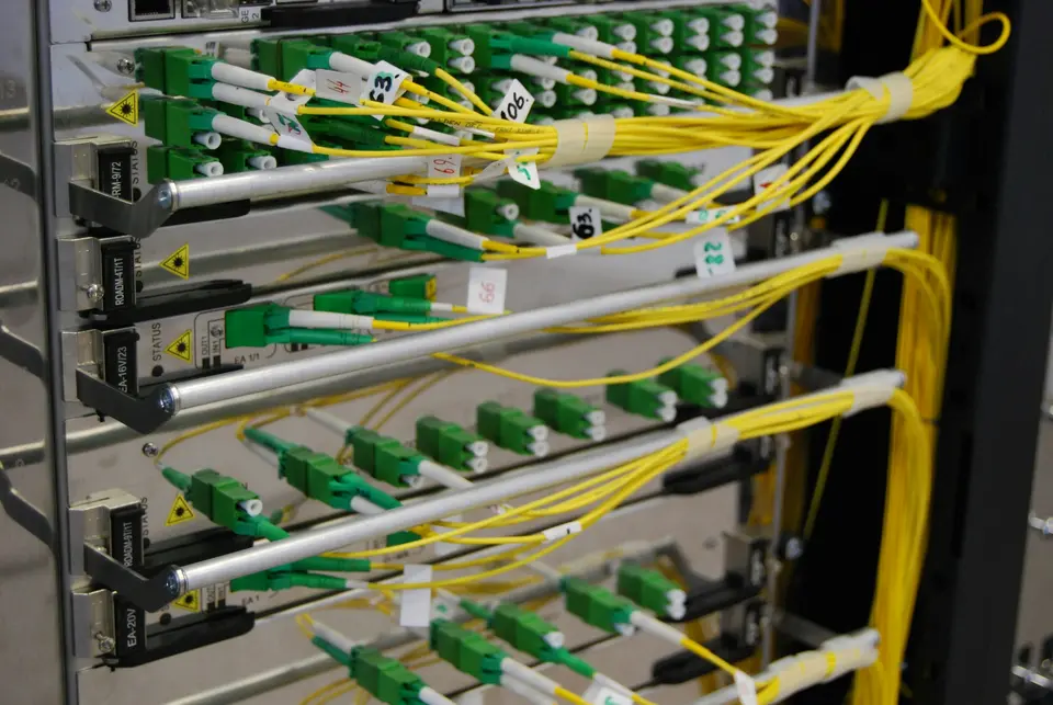 Yellow fibre patch leads in a rack-mounted fibre shelf